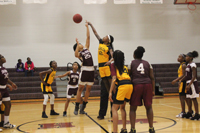Lady Trojans fall to Azalea